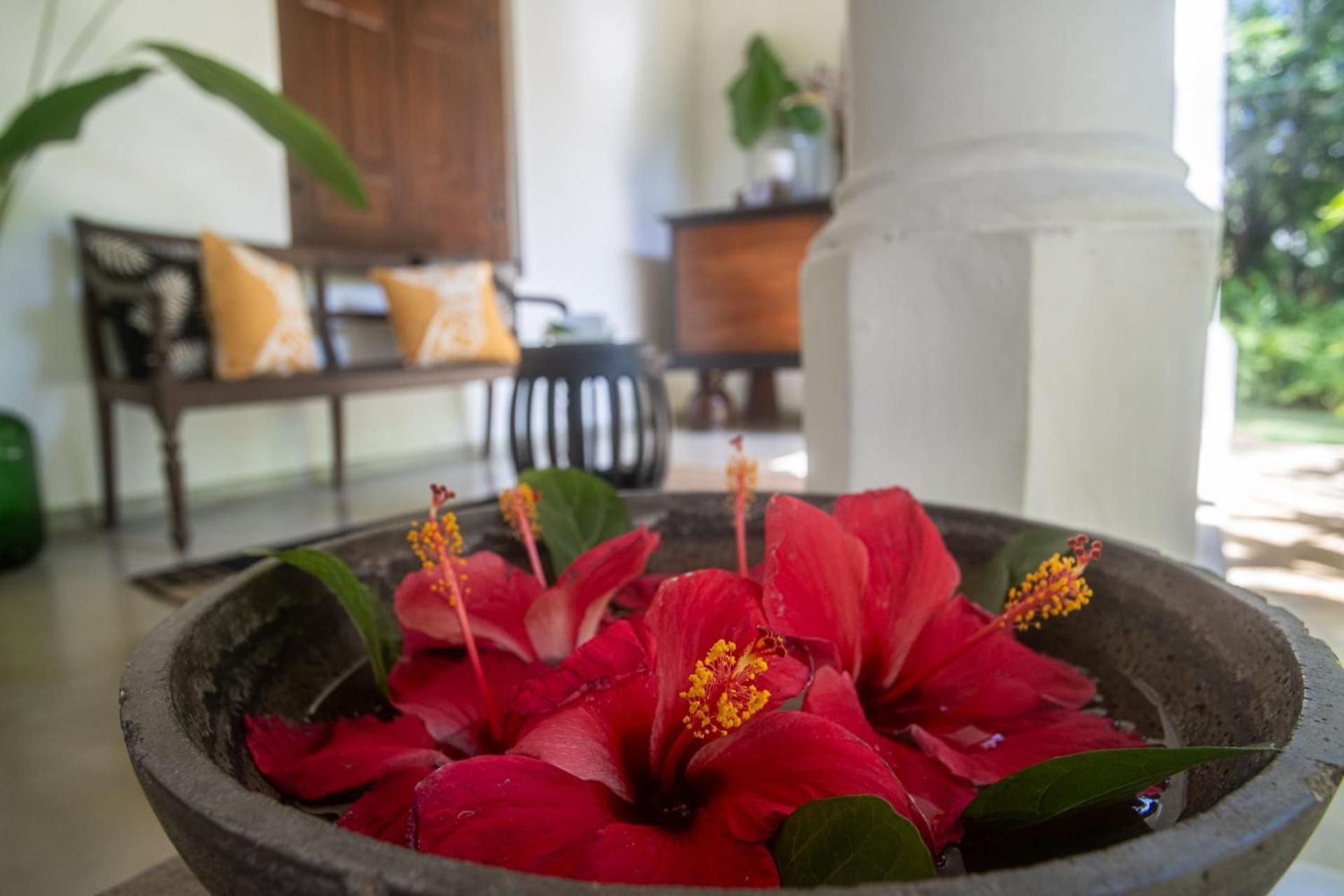 Mo River House Luxury Villa Hikkaduwa Eksteriør bilde
