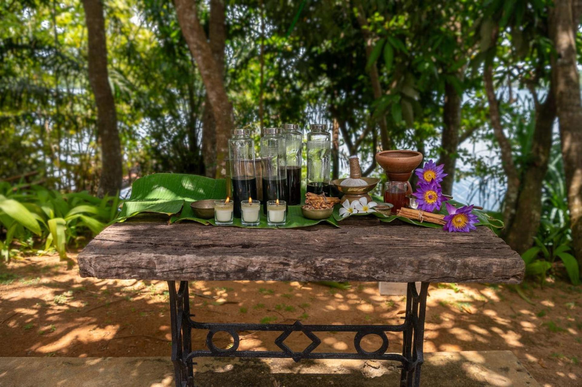 Mo River House Luxury Villa Hikkaduwa Eksteriør bilde