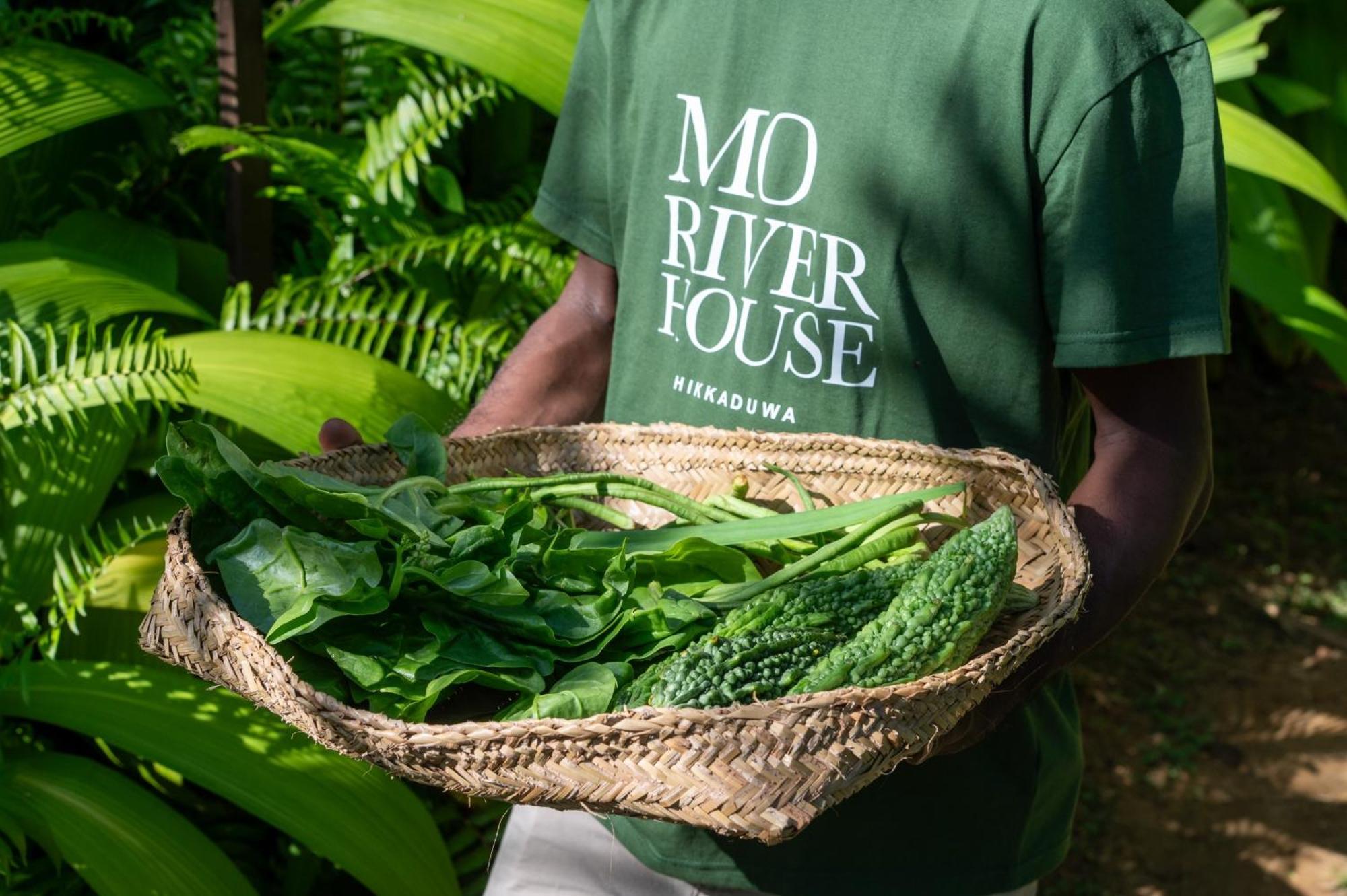 Mo River House Luxury Villa Hikkaduwa Eksteriør bilde